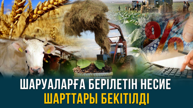 ЖАҢАЛЫҚТАР. 08.09.2023 күнгі шығарылым